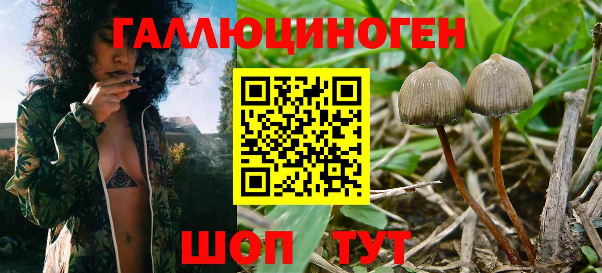 Псилоцибиновые грибы Magic Shrooms  Псилоцибиновые грибы прущие грибы  Дедовск  Вход с VPN 