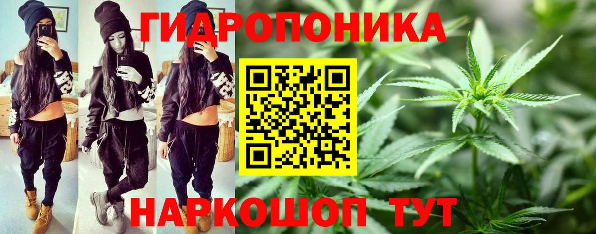 Конопля марихуана Дедовск